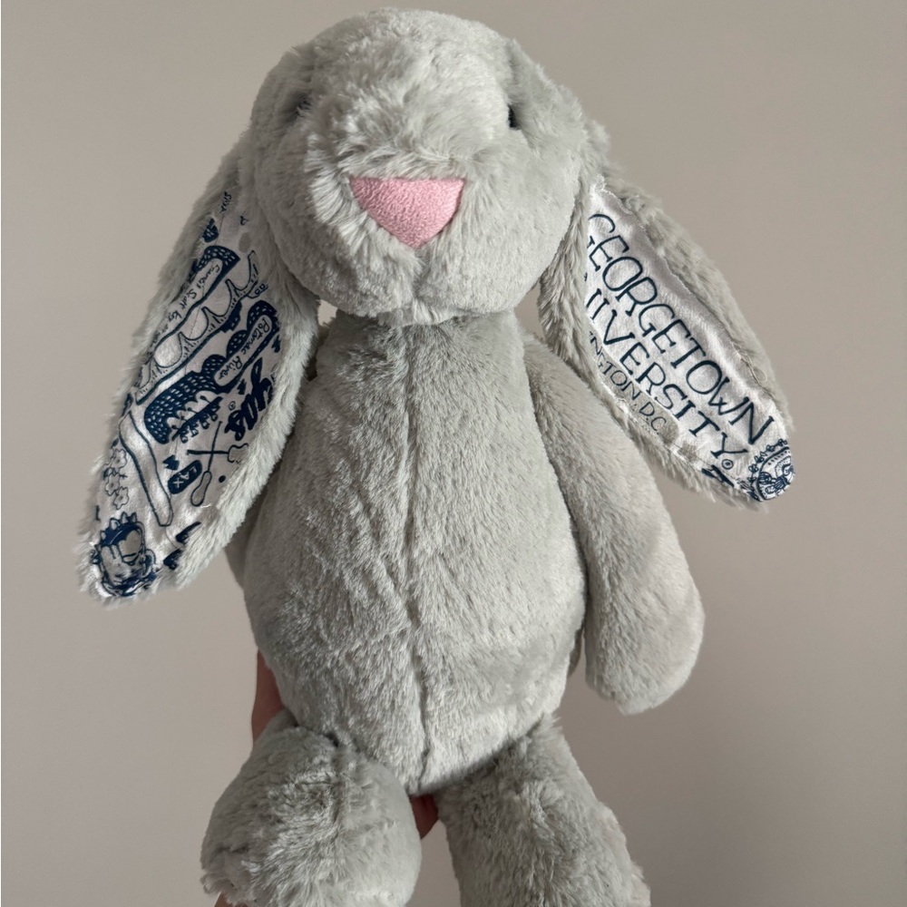 CUSTOM Georgetown University Bunny